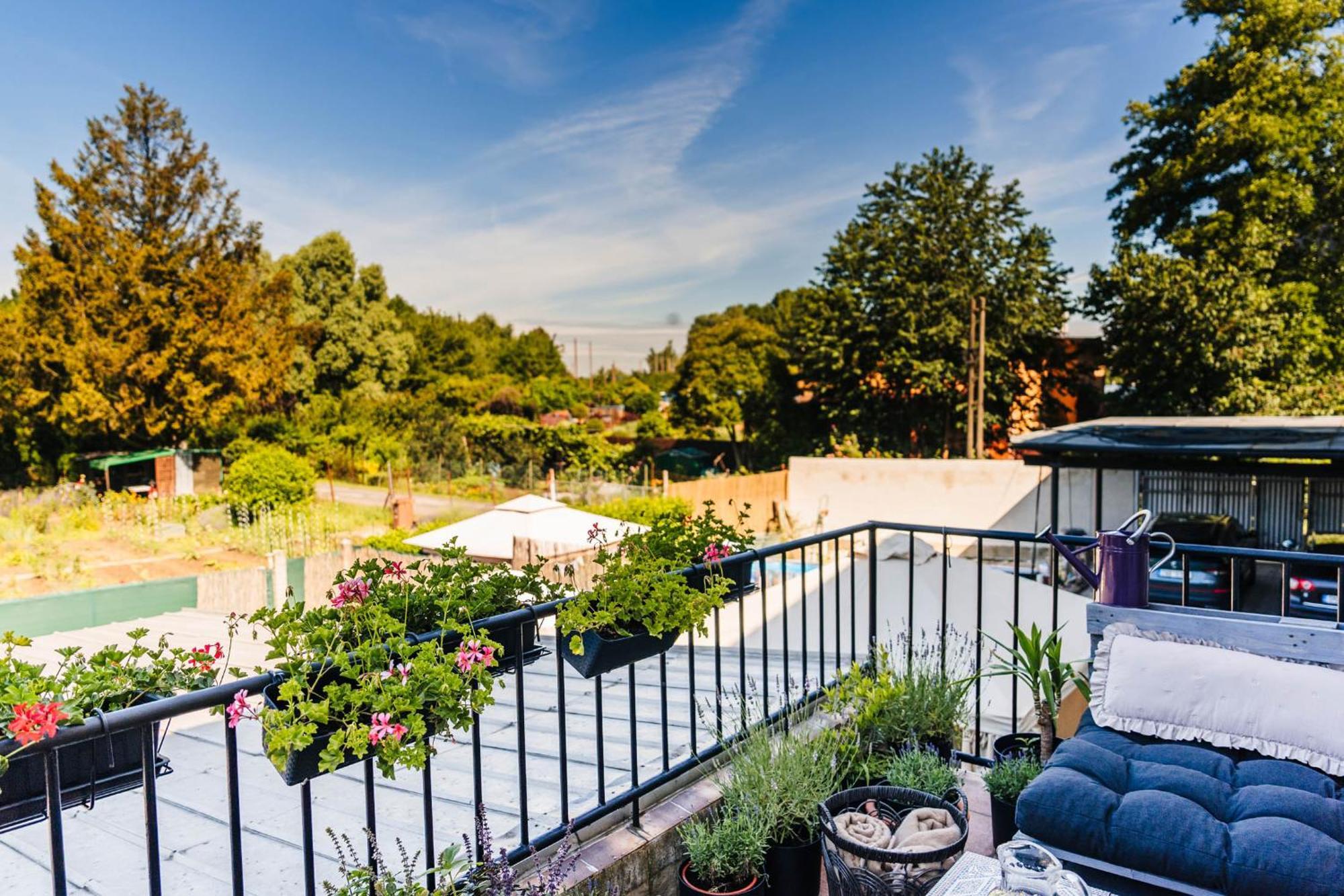 Silvie Apartments - Lazecka Оломоуц Екстер'єр фото
